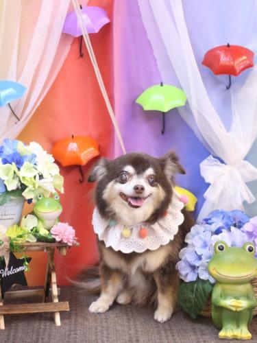 20230621ちゃこちゃん